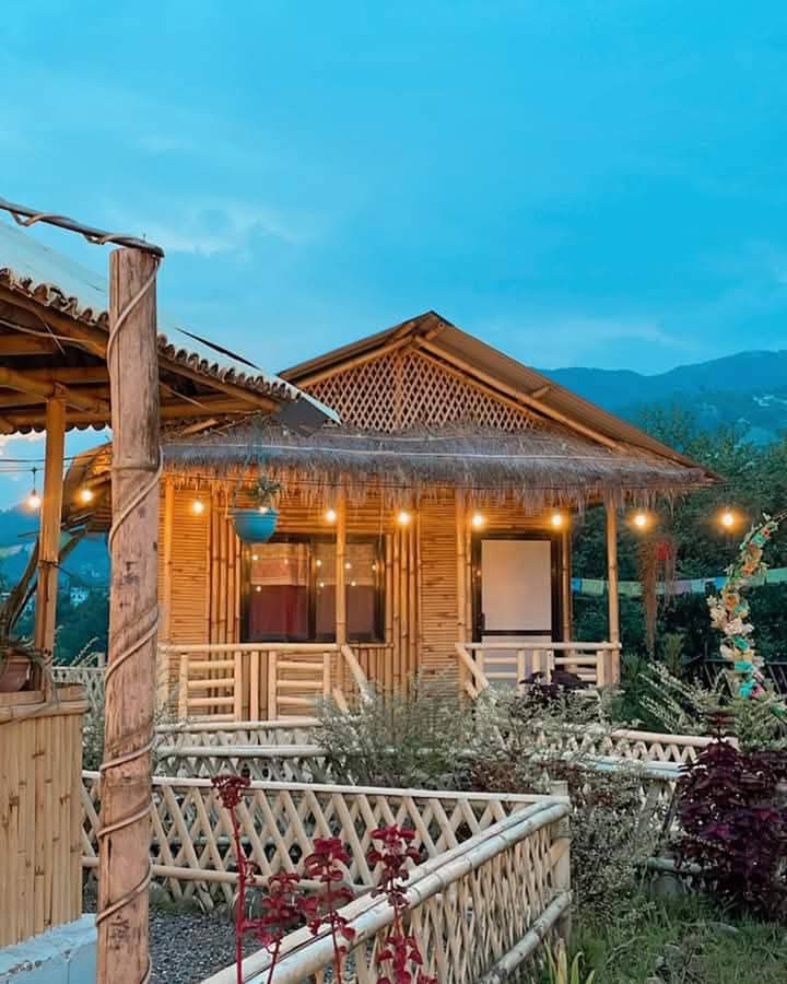 Bamboo cottage